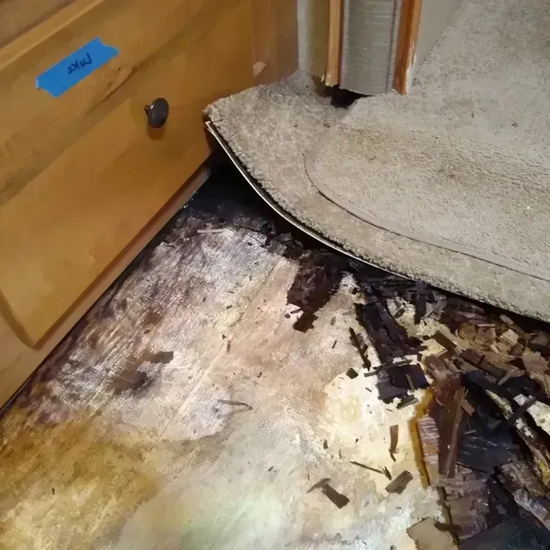 Best Wood Floor Water Damage Service in Rosita South, TX